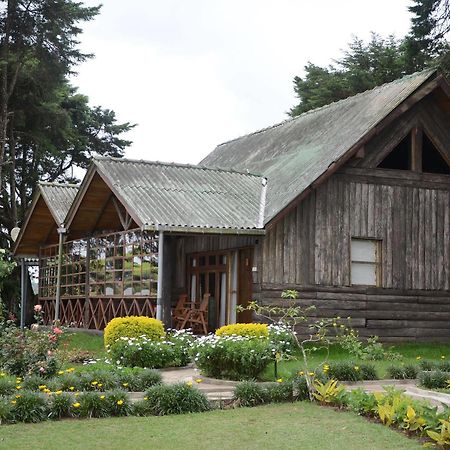 Calamander Lake Gregory Nuwara Eliya Exterior foto